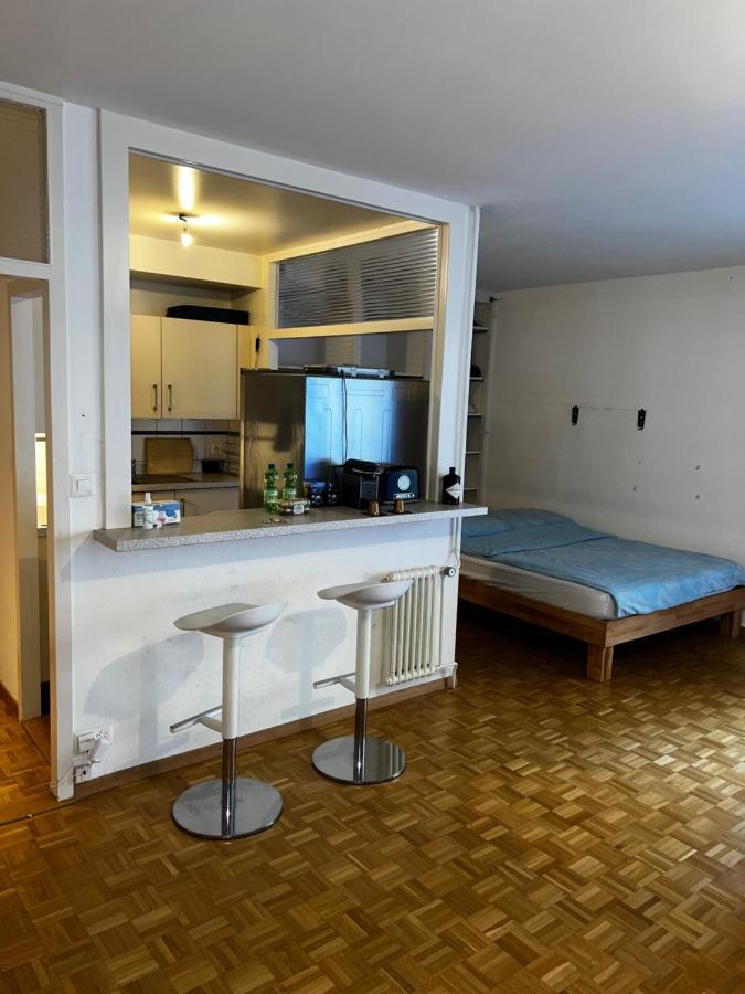 Apartament Beautiful Large Studio In Center Of Geneva Free Wifi Zewnętrze zdjęcie